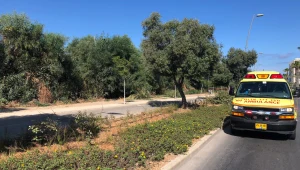 גופת אישה כבת 50 נמצאה בשיחים בראשון לציון; אין חשד לפלילים