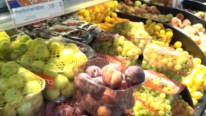 מבחן הפירות: היכן נמצא הסל הזול ביותר - ואיזו רשת הכי יקרה?