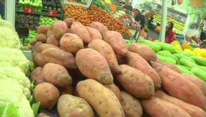 משרד הבריאות ממליץ: מזון בריא יסומן במדבקות ירוקות