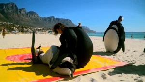 המירוץ למיליון, עונה 7, פרק 4: מלחמת הפינגווינים