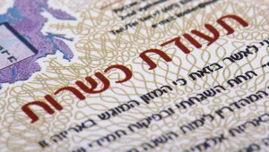 ארבע עם אלמוג בוקר 29.06.20 התכנית המלאה - משטרת הכשרות