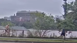 "היה מבועת": חיילת צה"ל לשעבר הוטרדה - ורדפה אחר החשוד • צפו