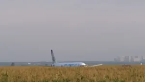 מטוס נתקל בלהקת ציפורים - וביצע נחיתת אונס בשדה תירס • תיעוד