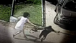הפיל לרצפה וניסה לחטוף התיק: נער התנפל על אישה ביפו • תיעוד