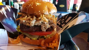 בעל הבית השתגע, ומזל! המבורגר כבד קצוץ כבר טעמתם?