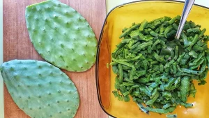 גרגרנים הקשיבו! במקום הזה תטעמו קקטוס ממולא, וזאת רק ההתחלה