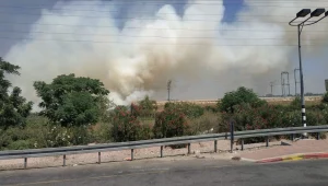 שריפה פרצה סמוך לנתב"ג: שיבושים נרשמו בתנועת הרכבות