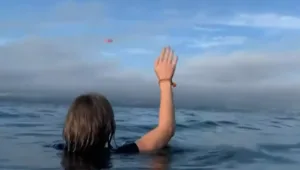 "נהיה קר כאן": התרסקו עם מטוס קל בים - ותיעדו הכול בסלולרי