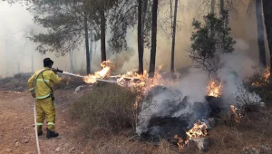 ברקע השרב: כמה שריפות פרצו ברחבי הארץ; תושבים בבית שמש פונו