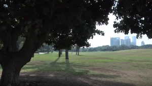 בני 3 ו-7 מצאו "סוכריה" בפארק - ואושפזו עם מנת יתר של קוקאין