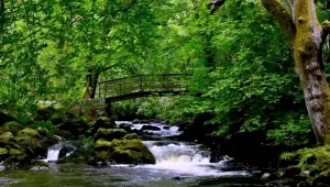 סובלים מנדודי שינה? צפו בוידיאו הזה