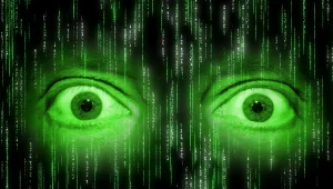 סכנה ברשת: משחק הפייסבוק החדש שמדאיג הורים ברחבי העולם