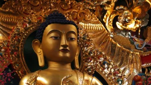 צפו: החייזר שמטריף את ההודים