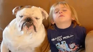 אפליקציה תבדוק: לאיזה כלב אתם דומים