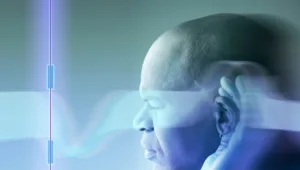 גלאי הפורנו: תוכנה שמסננת סרטונים