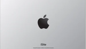 איך נראים אתרי אינטרנט מאחורה?