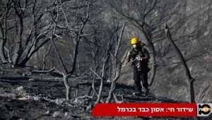 הסטטוסים שלכם: אסון השריפה בכרמל