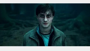 הארי פוטר 7: הטורנט יעזור למכירות?