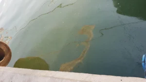 לאחר השריפה במפרץ חיפה: שמן מהמפעל זרם לים וגרם לזיהום