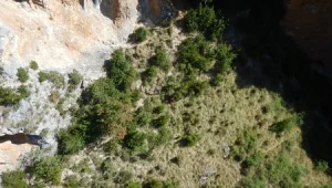 ישראלי בן 22 נהרג במהלך טיפוס הרים בספרד