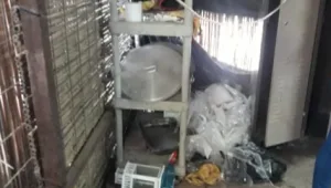 בפעם השנייה בתוך שנה: אולם האירועים נסגר בגלל ליקויי תברואה