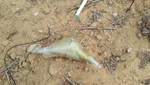 צה"ל: כלי טיס תקף חוליית משגרי בלוני תבערה בדרום הרצועה