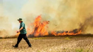 דיווח: בצל המתיחות - חמאס מוכן לדון בהחזרת השבויים הישראליים
