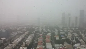 האם זיהום אוויר גורם לאוטיזם?