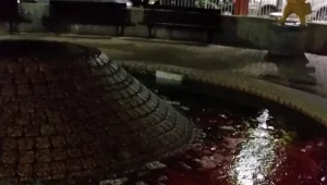 "דורשות מעשים": הפגנות ברחבי הארץ במחאה על האלימות כלפי נשים