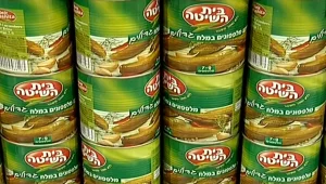 מביטוח החובה לרכב ועד פתיתים: המוצרים שיתייקרו ב-2019