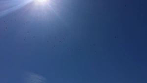 התחזית: נוח בכל אזורי הארץ; בשלישי: התחממות ניכרת