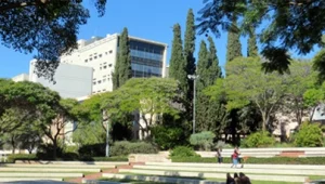 צינור לילה 11.12.12