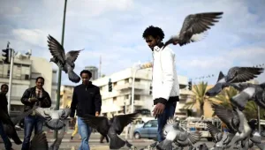 גלנט: 30 מיליון שקל "להצלת שכונות דרום תל אביב מהמסתננים"