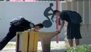 המחקר חושף: האם השם הרע של המים בברזיות שבבתי הספר מוצדק?