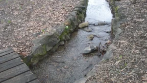 לתשומת לב המטיילים: חשד להתפרצות מחלת העכברת בצפון הארץ