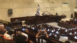 האם חברי הכנסת מנצלים את זכות הלרלור שלהם?