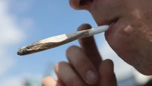 "ישראלים עוברים לקליפורניה לחוות גידול מריחואנה"