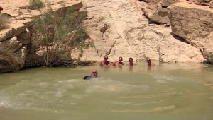 "חורף כזה לא היה": המסע אחר הגבים והמעיינות הסודיים של ישראל