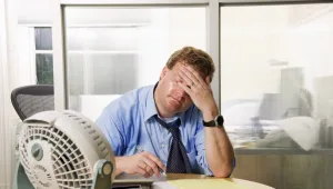 רוצים עובדים יעילים? קנו להם עציצים