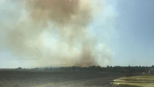 השרב הקיצוני ועפיפוני תבערה: גל שריפות ברחבי הארץ