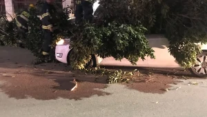 סערת הבזק: הפסקות חשמל נרחבות ונפילות עצים ברחבי הארץ