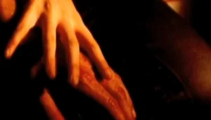 הצינור 15.05.16