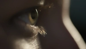 חיים בריא: פגיעה טראומתית בעיניים