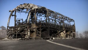 שכולים מאסון הכרמל עתרו לבג"ץ: "לפטר את ישי ושטייניץ"