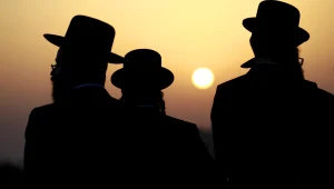 הדיינים פסקו: לרגום את הכלב