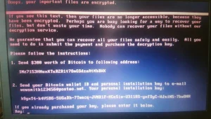 ארה"ב: "רוסיה עומדת מאחורי מתקפת הסייבר ההרסנית בהיסטוריה"