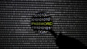 על המפה: פייפאל מקימה מרכז סייבר בבאר שבע