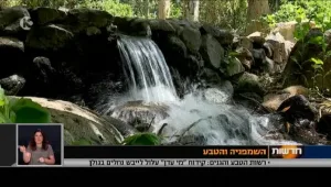 המעיינות שיקררו אותכם בקיץ