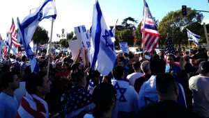 נקודה il - פעילותו של הארגון הישראלי אמריקאי IAC