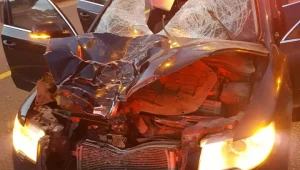 שבועיים אחרי שבעלה נהרג בתאונה, מירה מחפשת עדי ראיה בפייסבוק